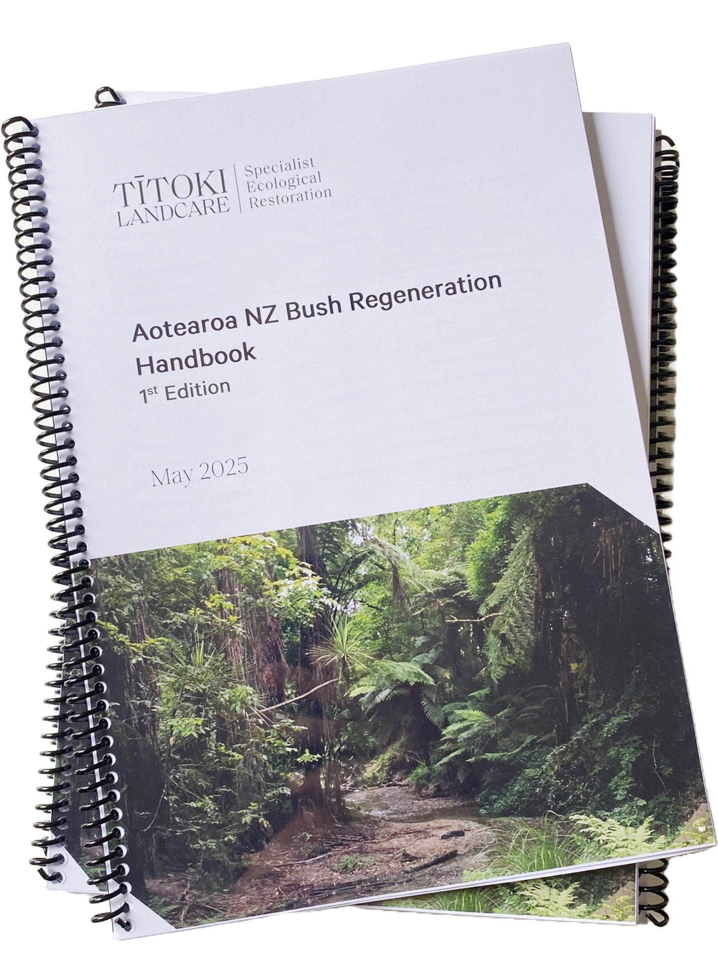 Aotearoa NZ Bush Regeneration Handbook