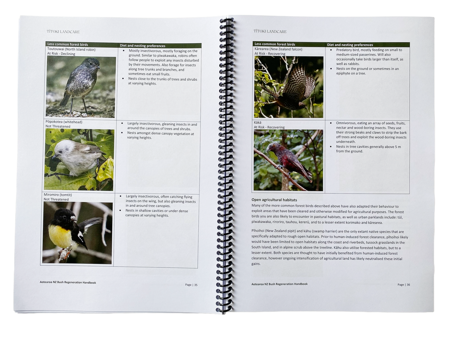 Aotearoa NZ Bush Regeneration Handbook