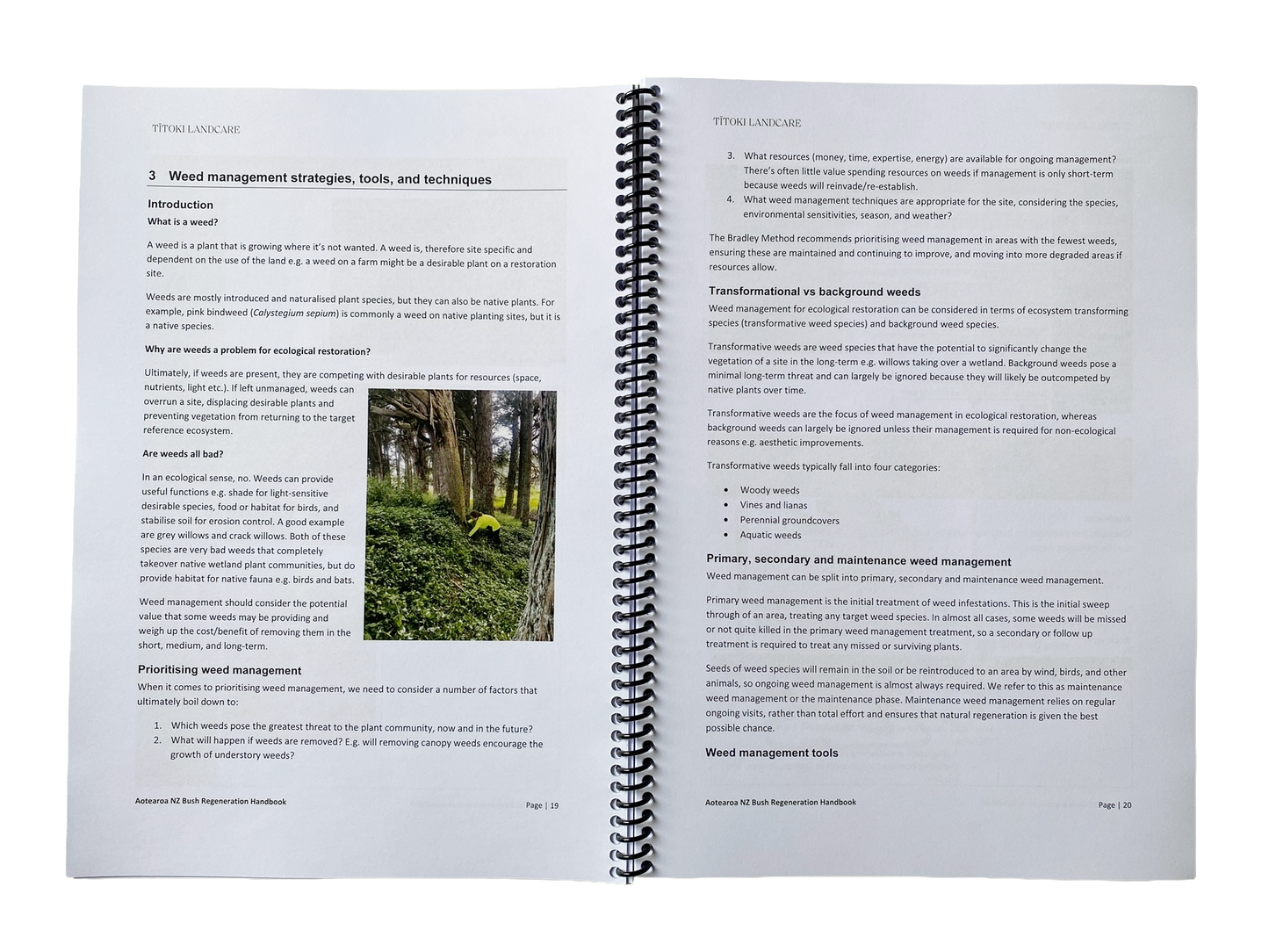 Aotearoa NZ Bush Regeneration Handbook