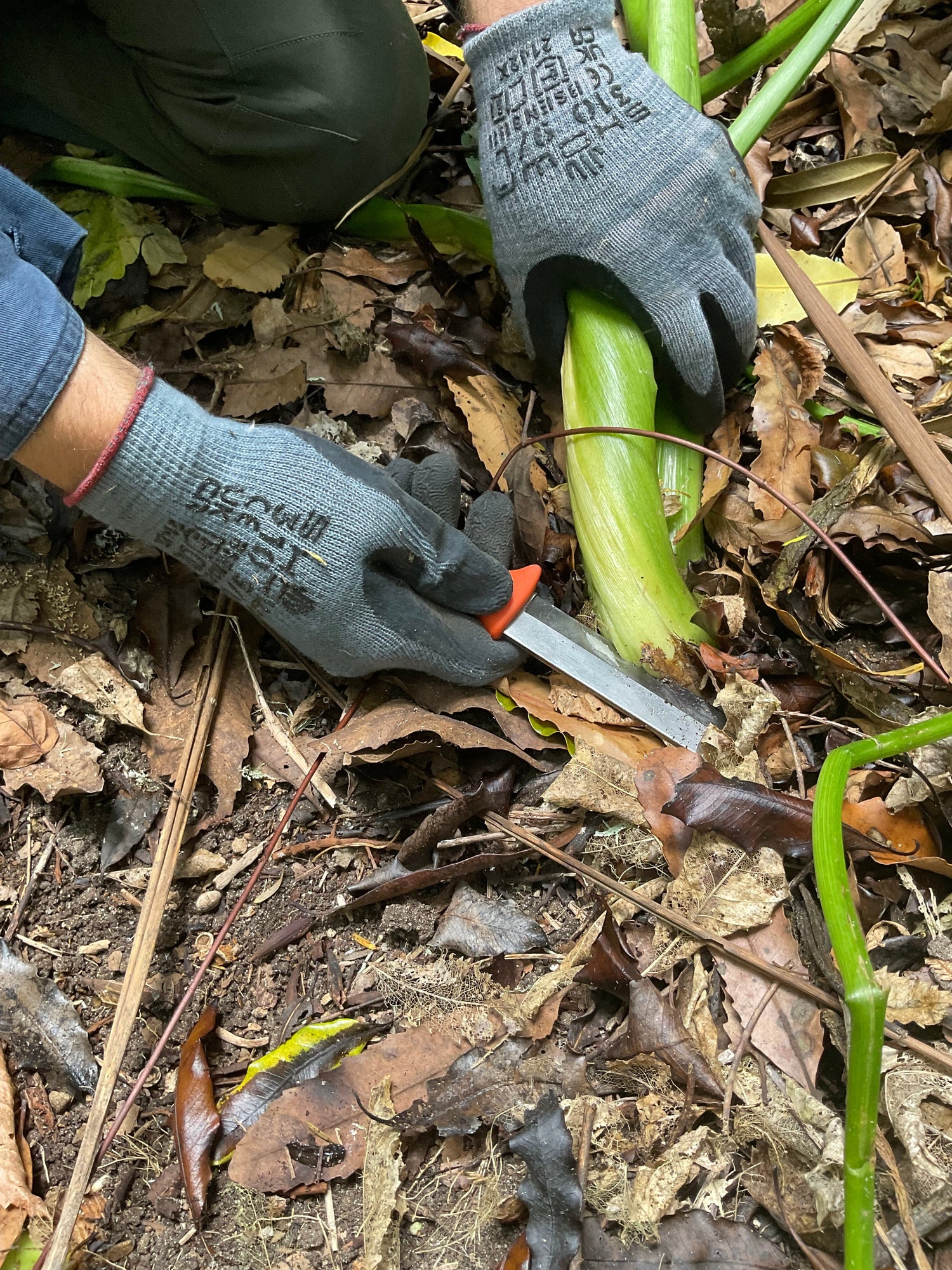 Conservation tools
