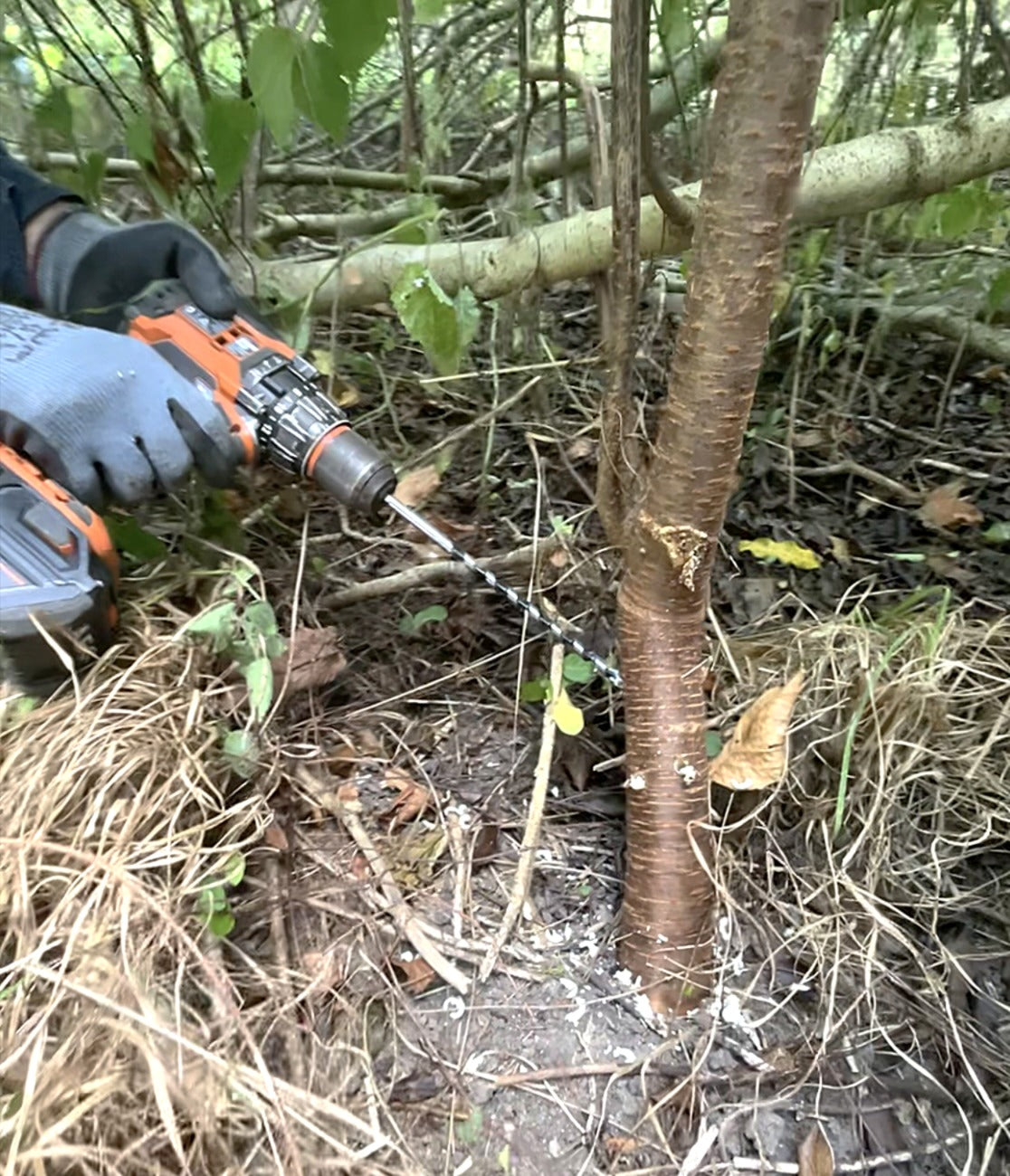 Starcraft 8mm Auger Drill Bit