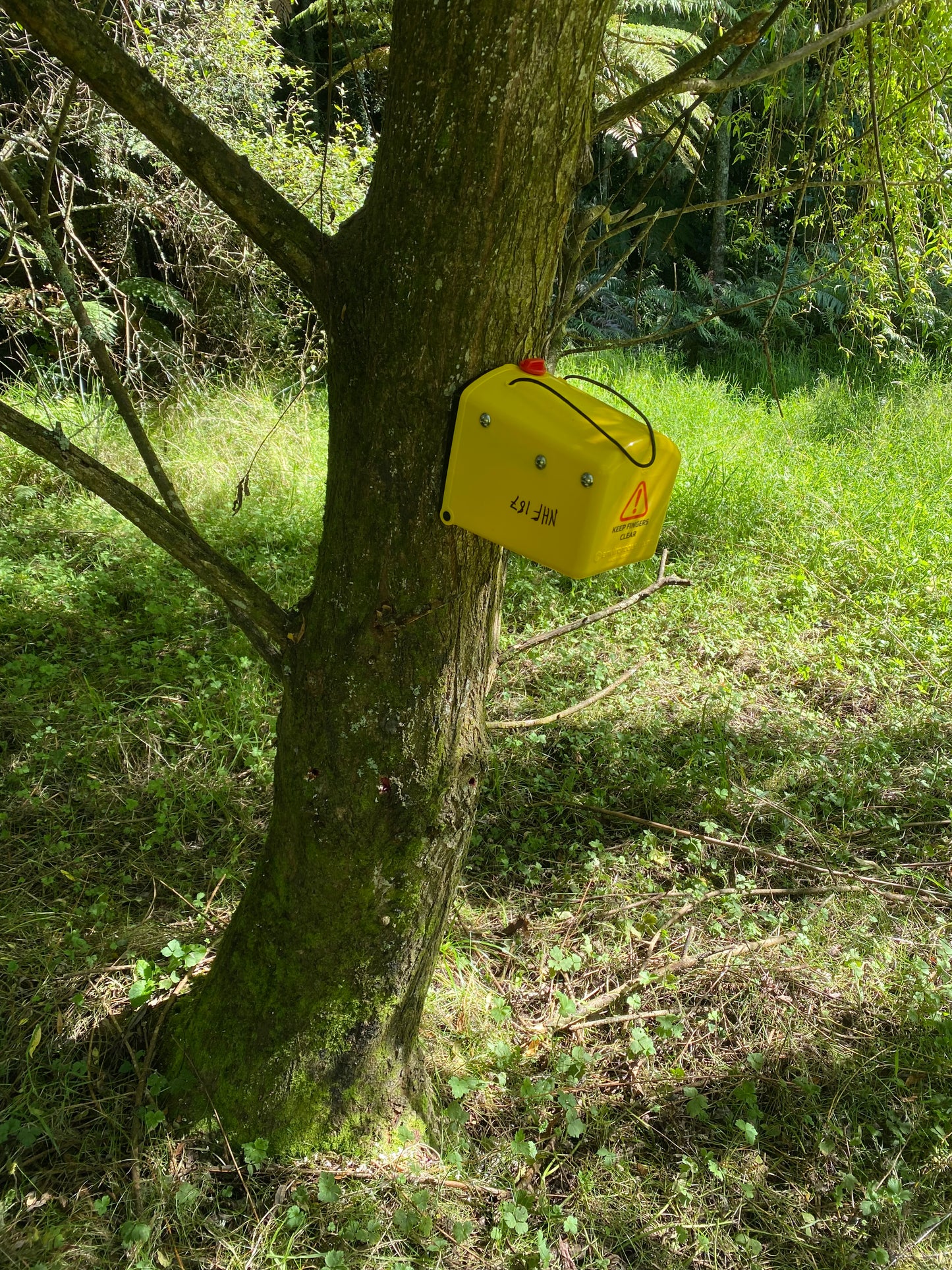 Flipping Timmy Possum Kill Trap